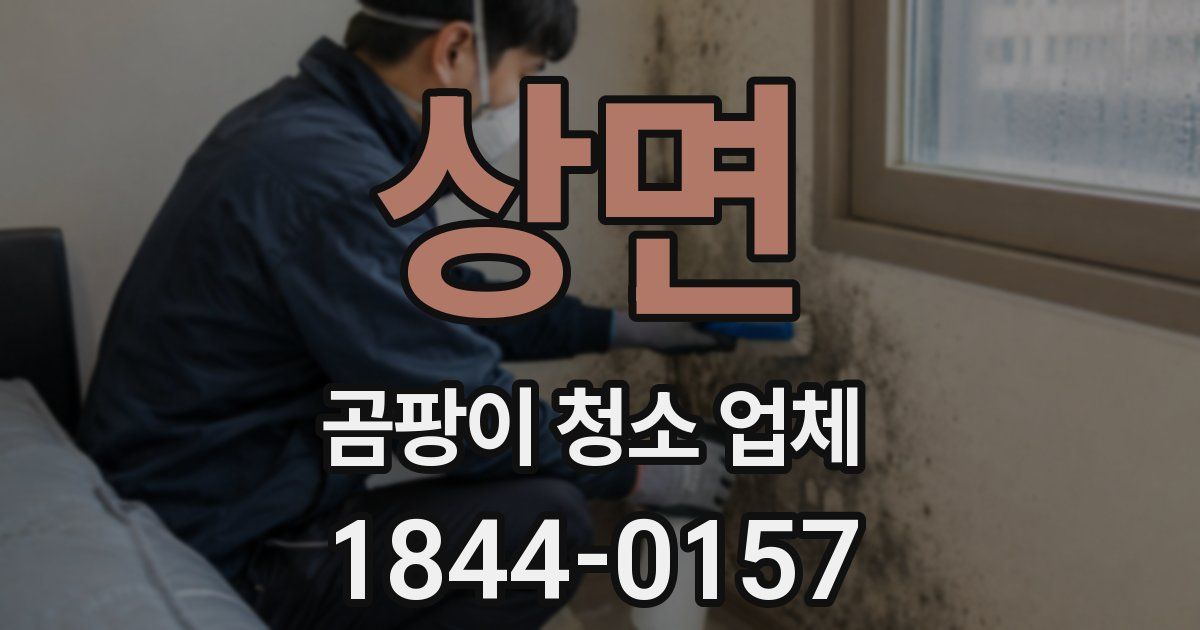 상면 곰팡이 청소 업체