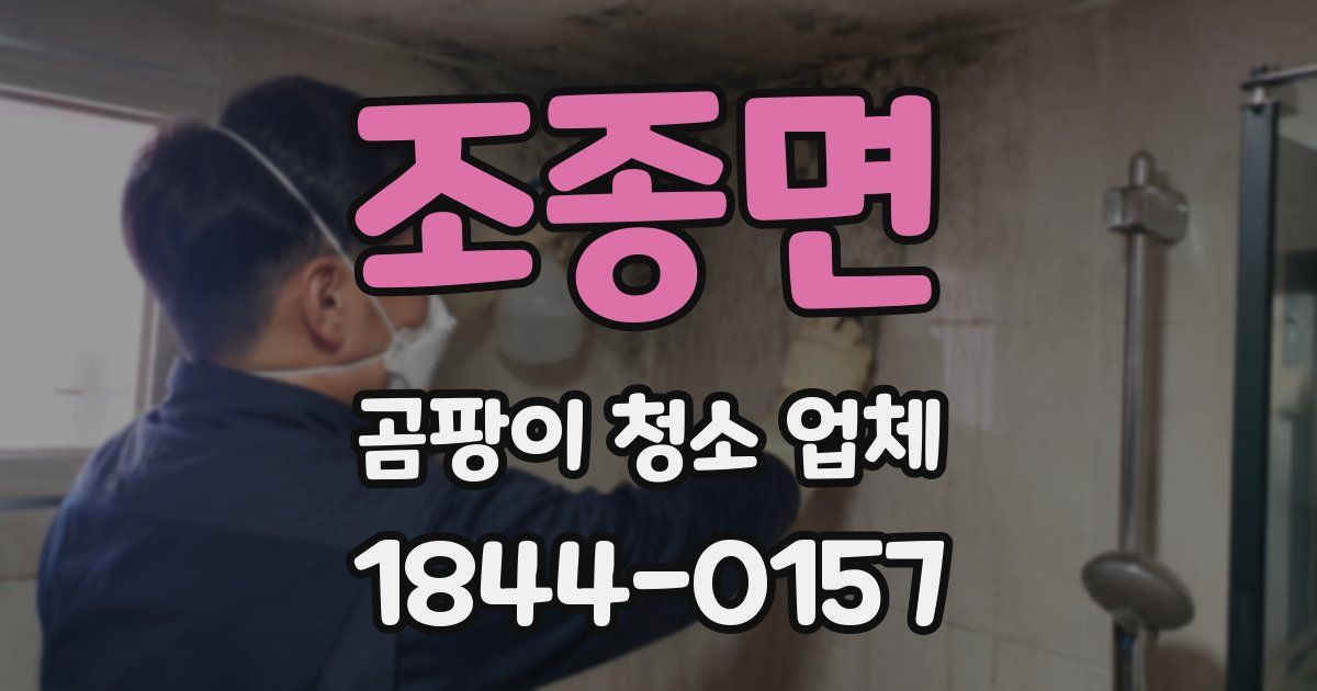 조종면 곰팡이 청소 업체