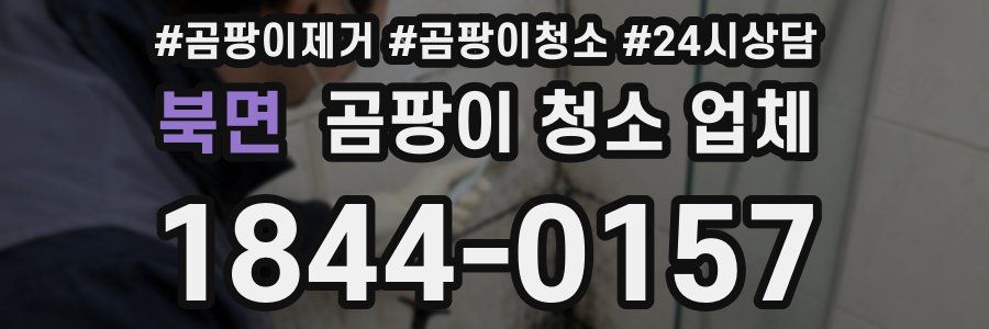북면 곰팡이 청소 업체
