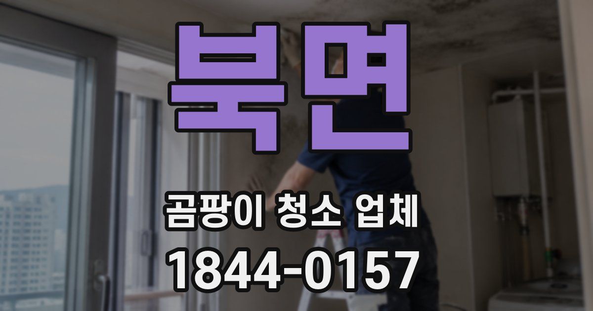 북면 곰팡이 청소 업체