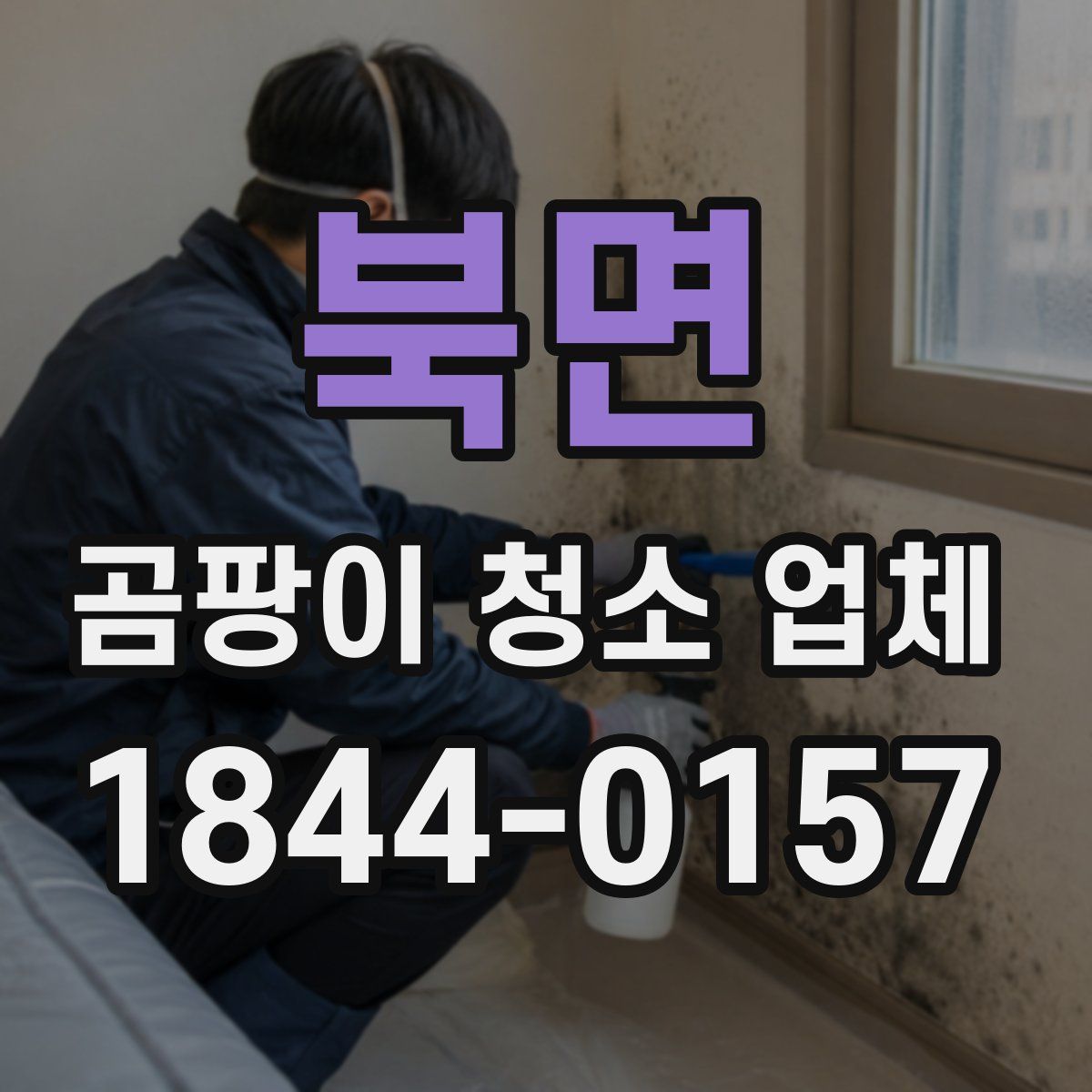 북면 곰팡이 청소 업체