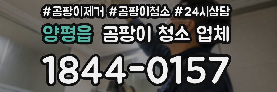 양평읍 곰팡이 청소 업체