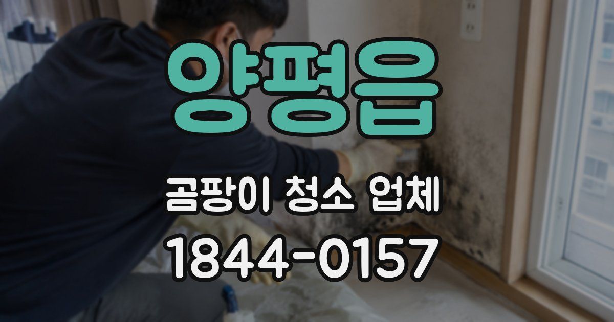 양평읍 곰팡이 청소 업체