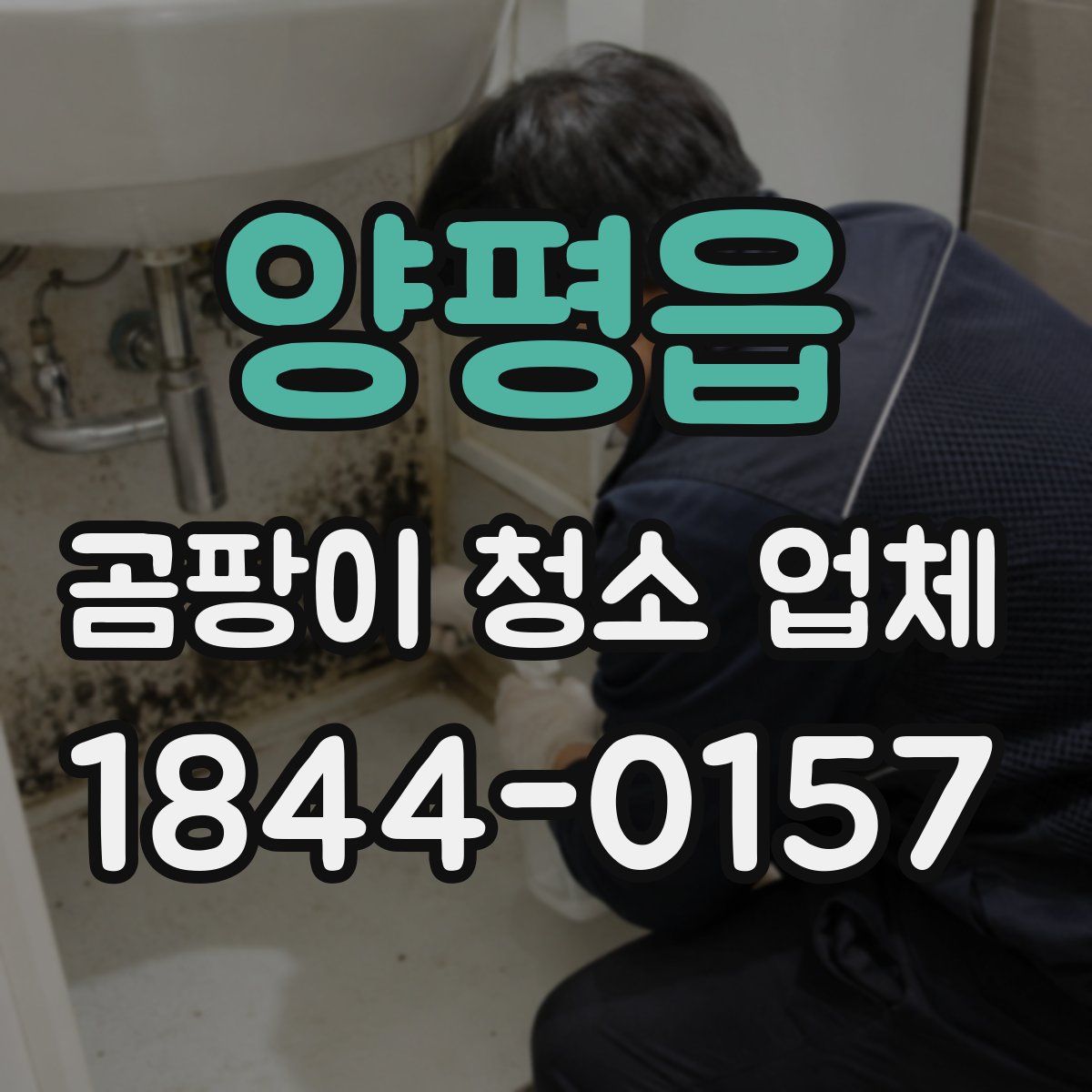 양평읍 곰팡이 청소 업체