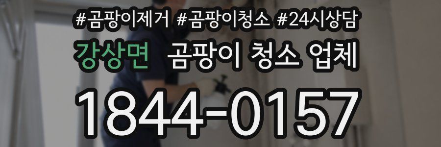 강상면 곰팡이 청소 업체