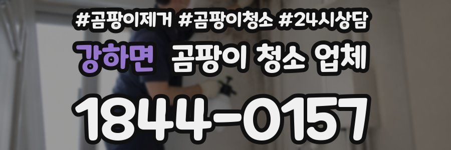강하면 곰팡이 청소 업체