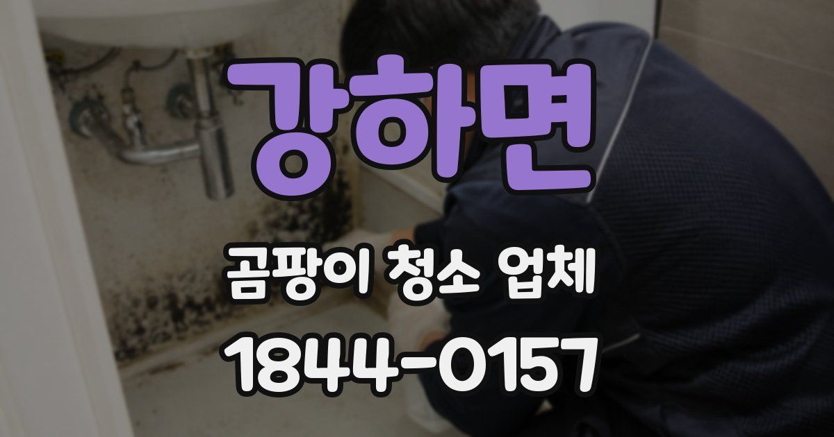 강하면 곰팡이 청소 업체
