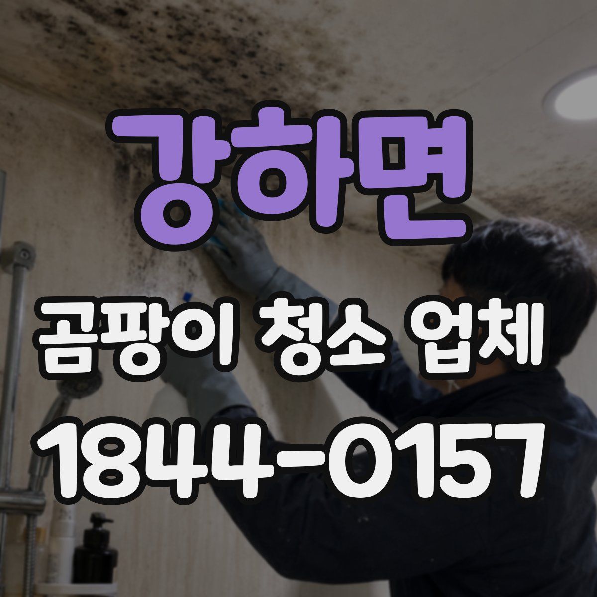 강하면 곰팡이 청소 업체