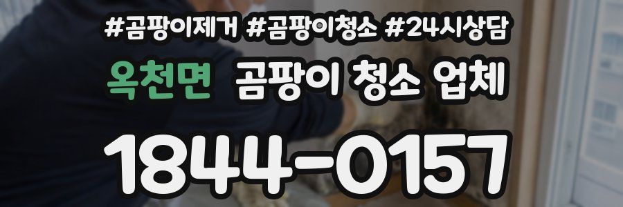 옥천면 곰팡이 청소 업체