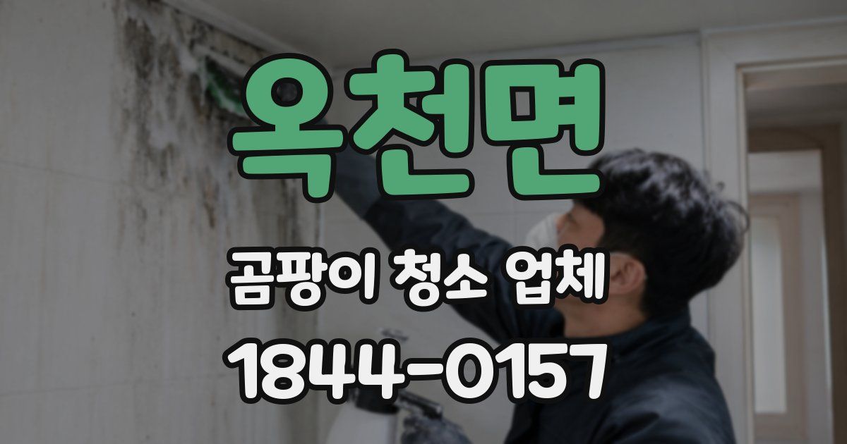 옥천면 곰팡이 청소 업체