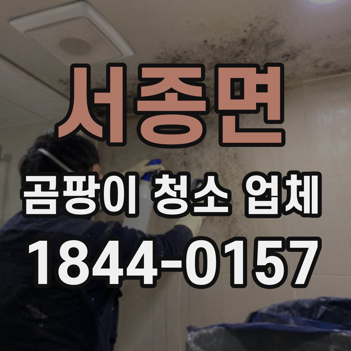 서종면 곰팡이 청소 업체