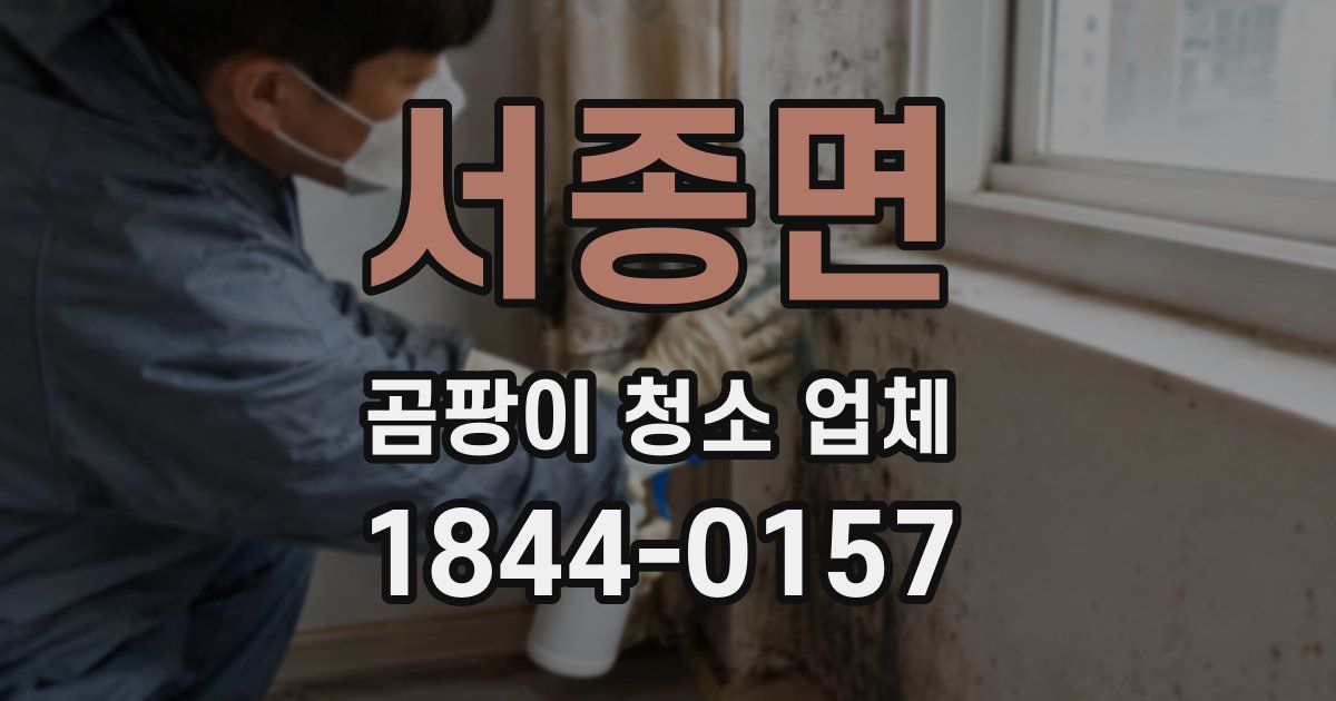 서종면 곰팡이 청소 업체