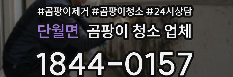 단월면 곰팡이 청소 업체