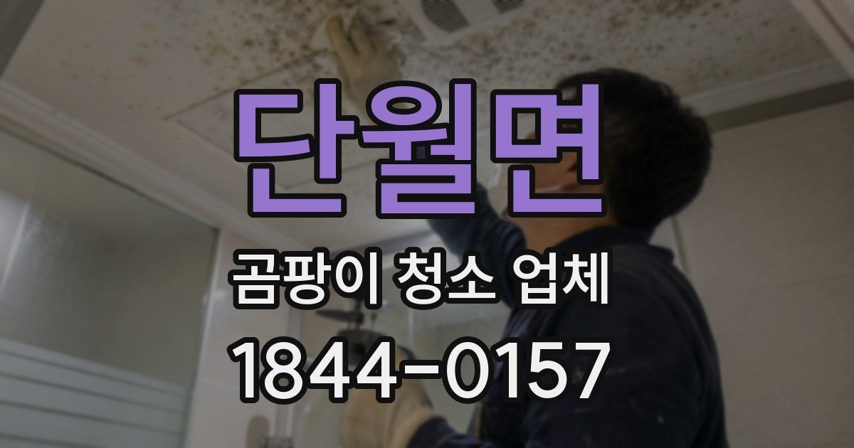 단월면 곰팡이 청소 업체