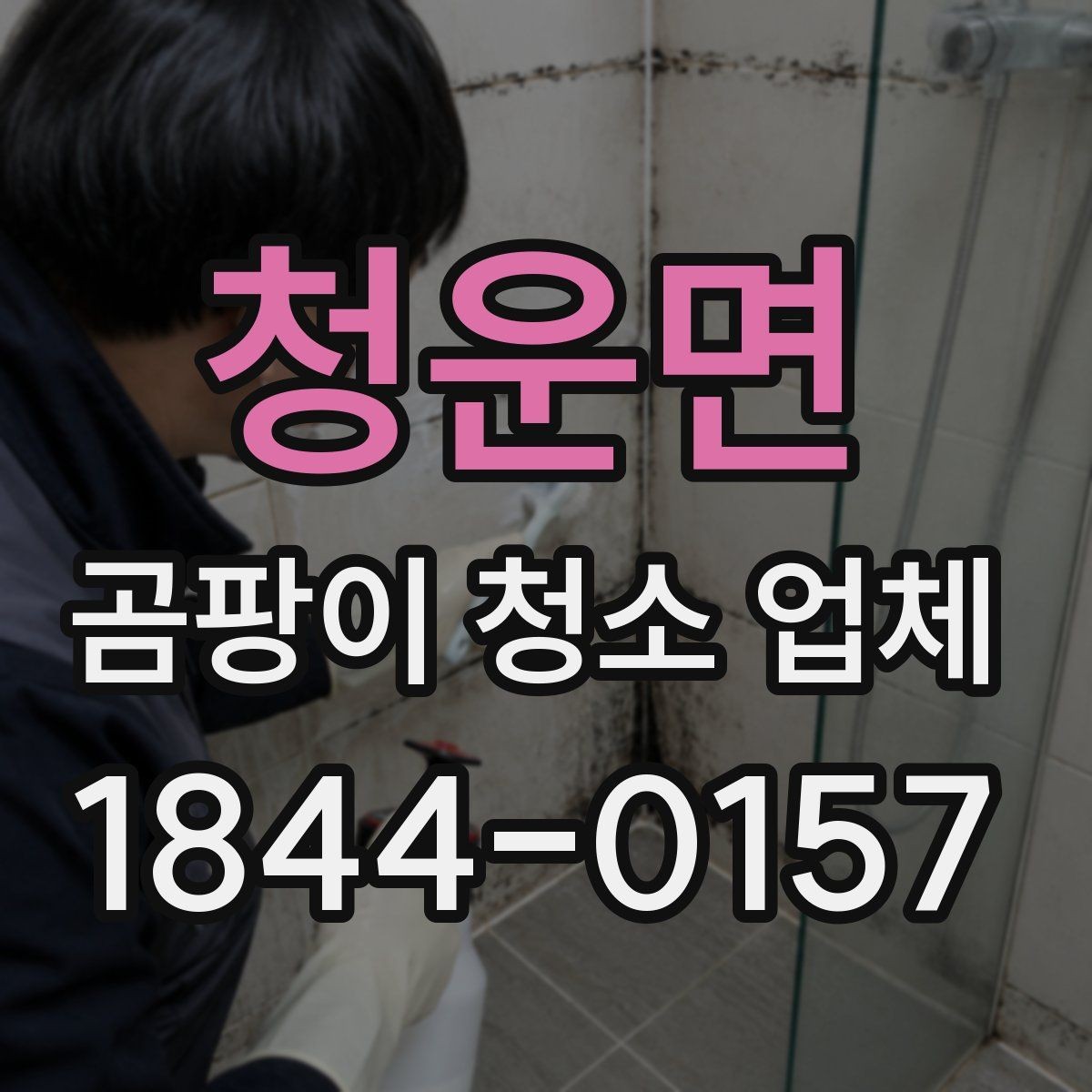 청운면 곰팡이 청소 업체 알레르기 걱정을 줄이는 작업 기준