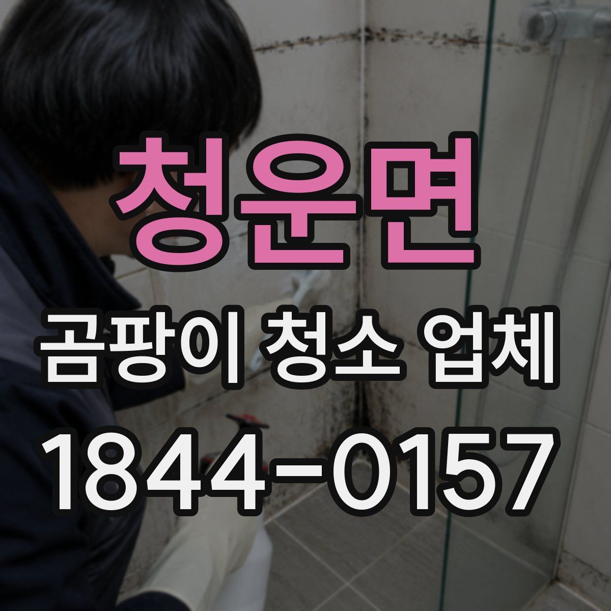 청운면 곰팡이 청소 업체
