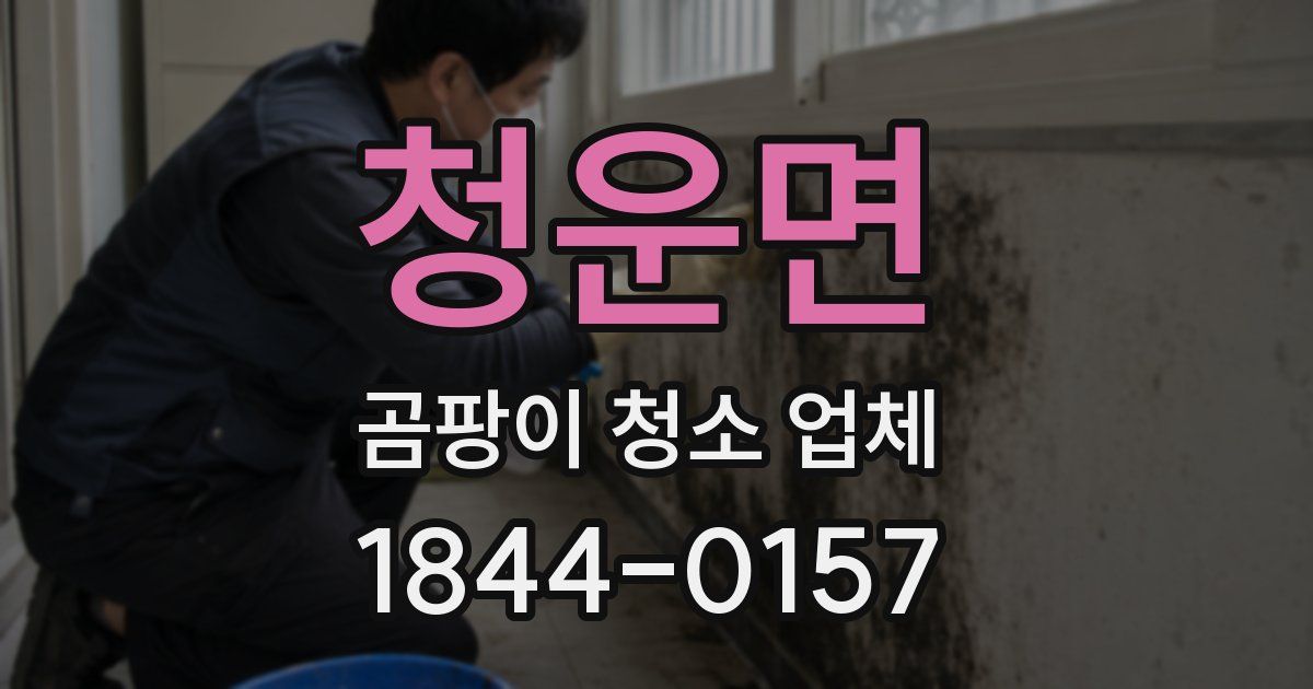 청운면 곰팡이 청소 업체