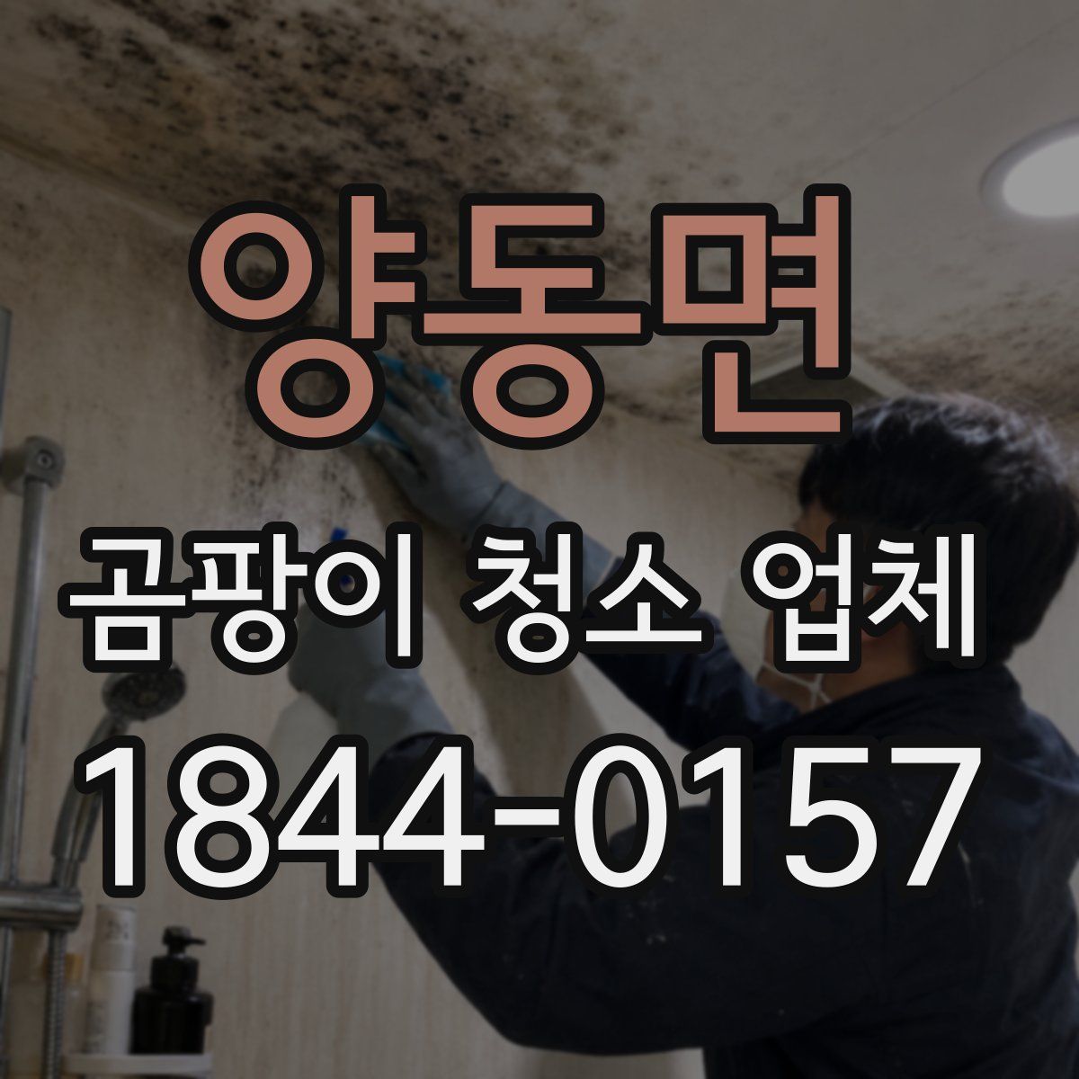 양동면 곰팡이 청소 업체