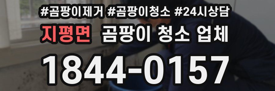지평면 곰팡이 청소 업체