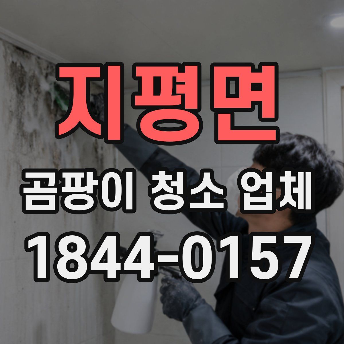 지평면 곰팡이 청소 업체