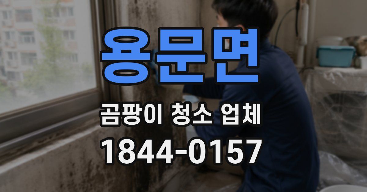 용문면 곰팡이 청소 업체