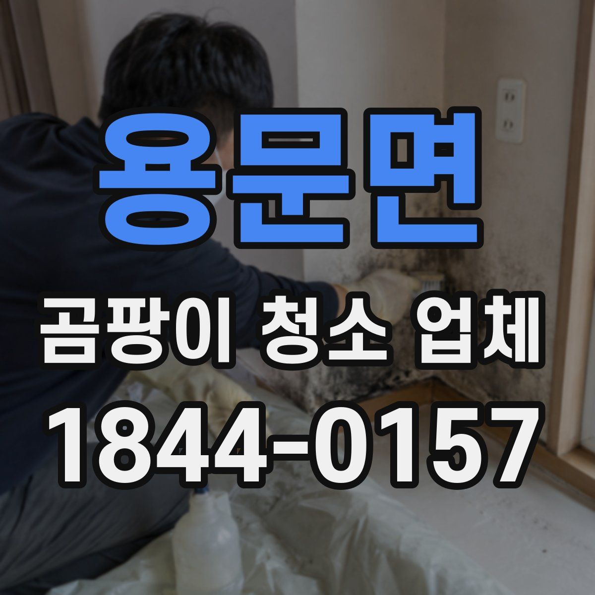 용문면 곰팡이 청소 업체