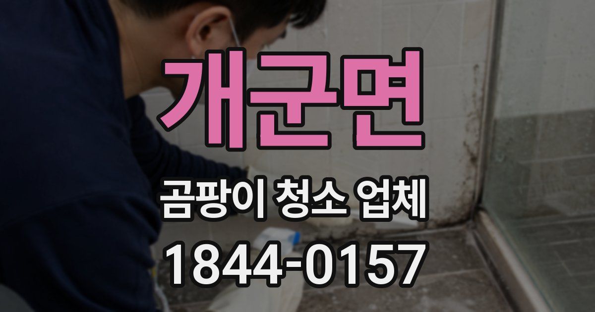 개군면 곰팡이 청소 업체