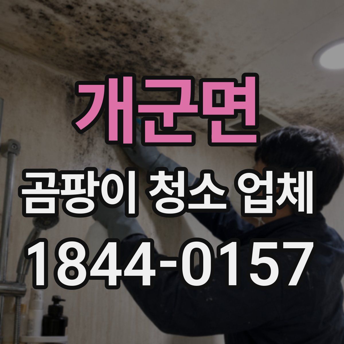 개군면 곰팡이 청소 업체