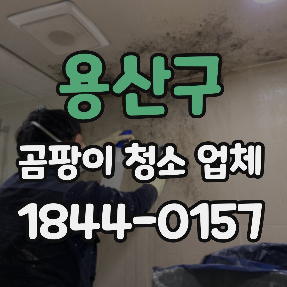 용산구 곰팡이 청소 업체