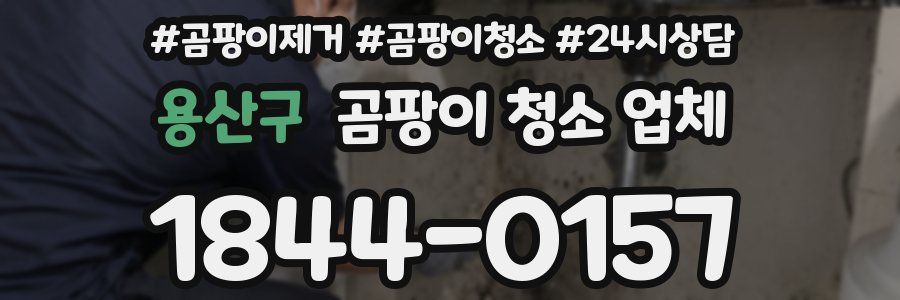 용산구 곰팡이 청소 업체
