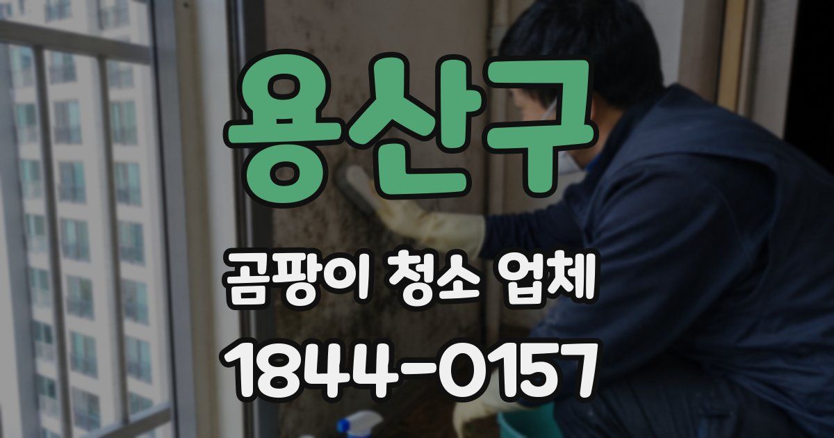 용산구 곰팡이 청소 업체