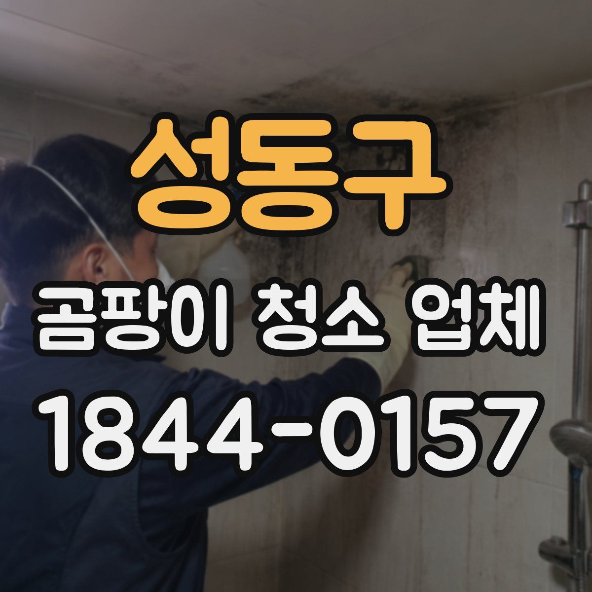 성동구 곰팡이 청소 업체