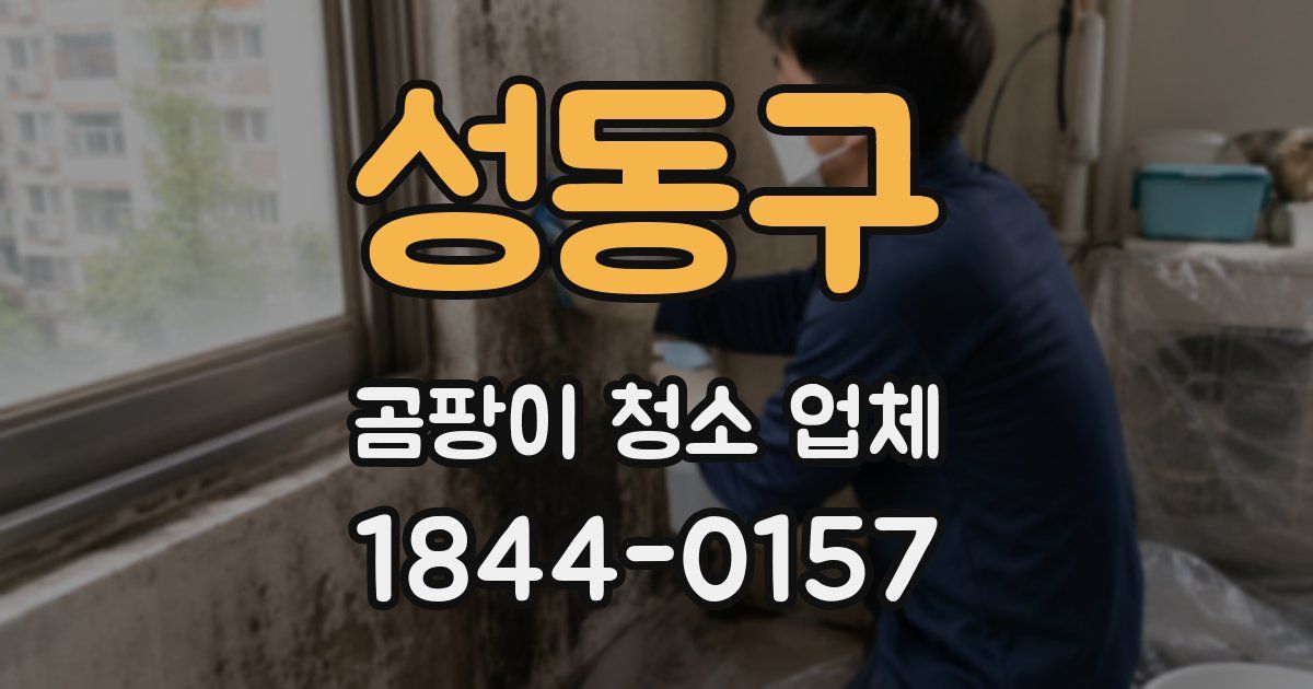 성동구 곰팡이 청소 업체