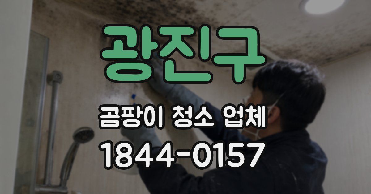 광진구 곰팡이 청소 업체