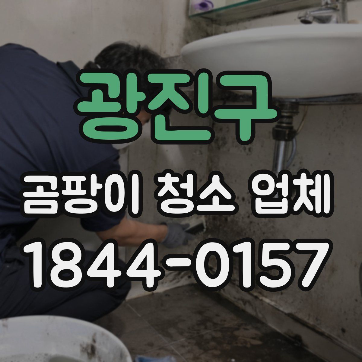 광진구 곰팡이 청소 업체