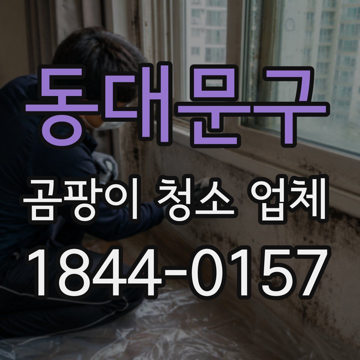 동대문구 곰팡이 청소 업체