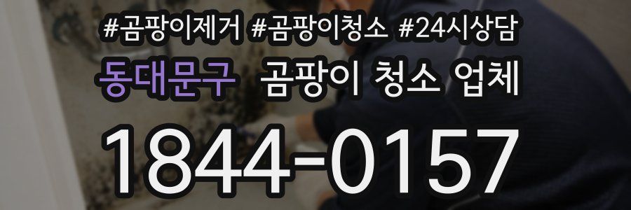 동대문구 곰팡이 청소 업체