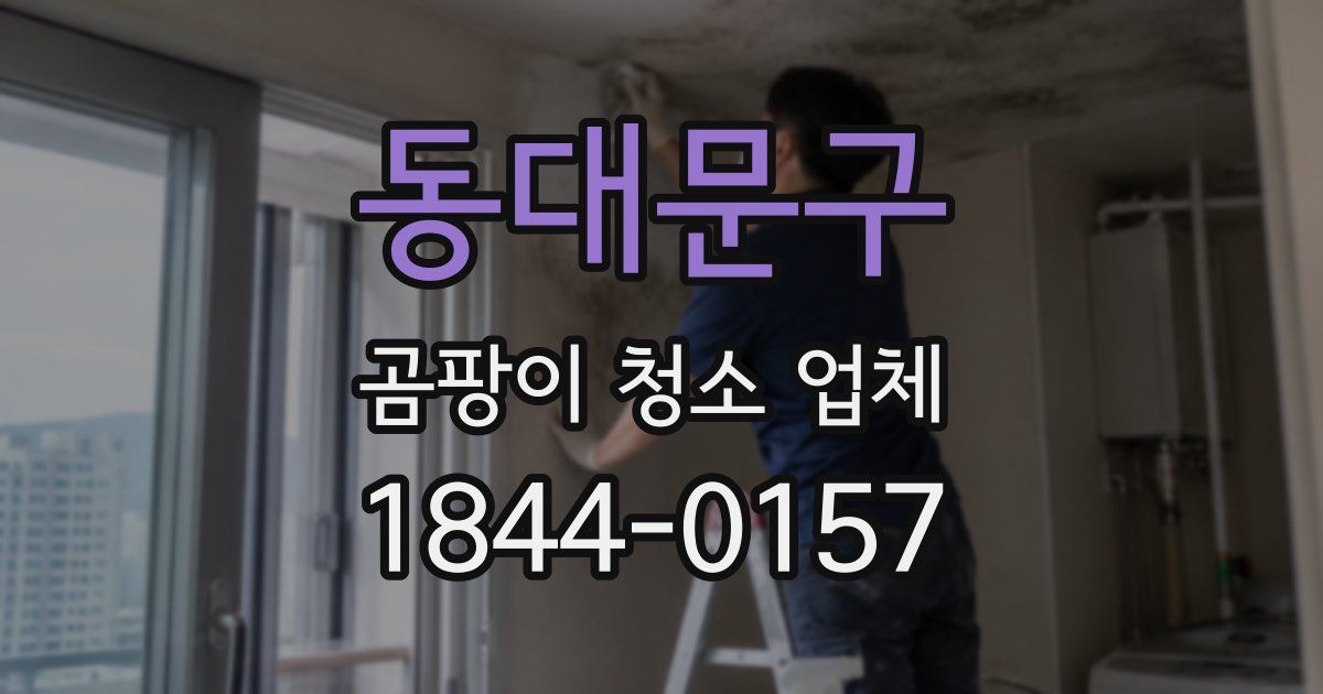 동대문구 곰팡이 청소 업체