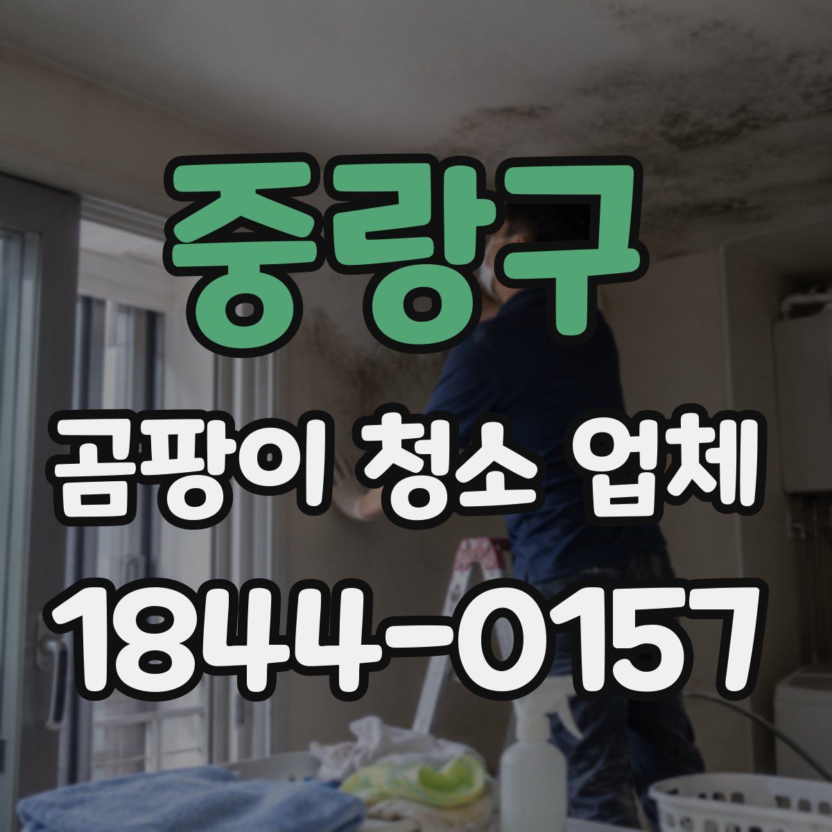 중랑구 곰팡이 청소 업체