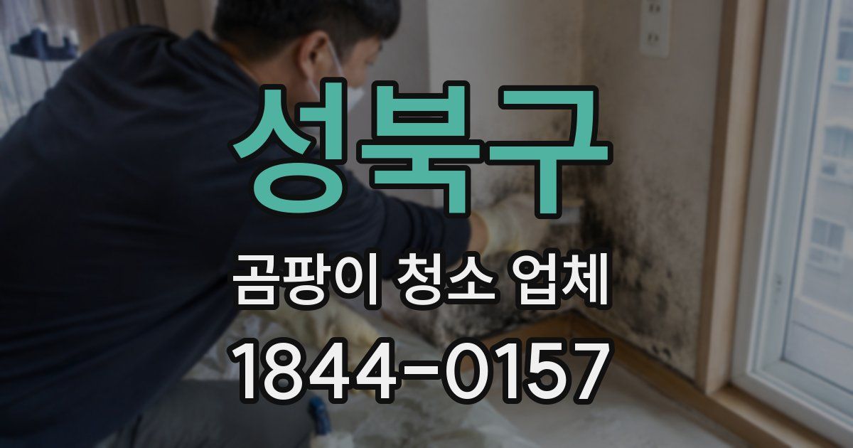 성북구 곰팡이 청소 업체