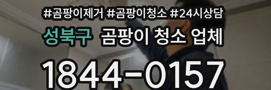 성북구 곰팡이 청소 업체