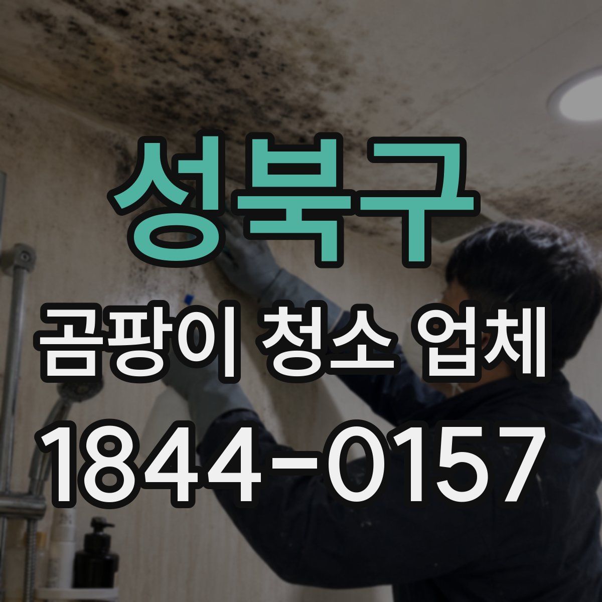 성북구 곰팡이 청소 업체