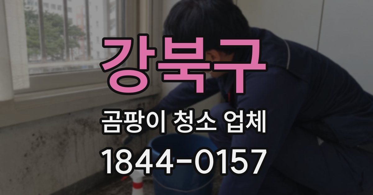 강북구 곰팡이 청소 업체