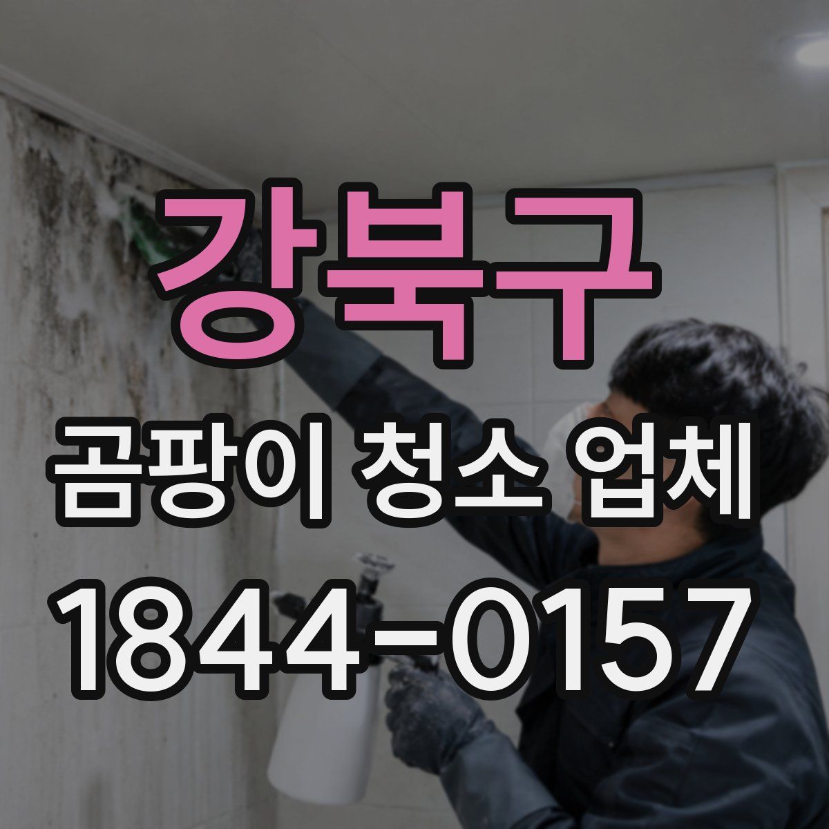 강북구 곰팡이 청소 업체