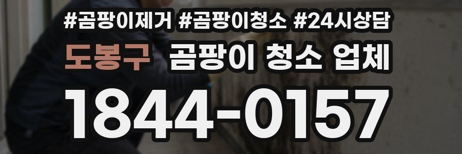 도봉구 곰팡이 청소 업체