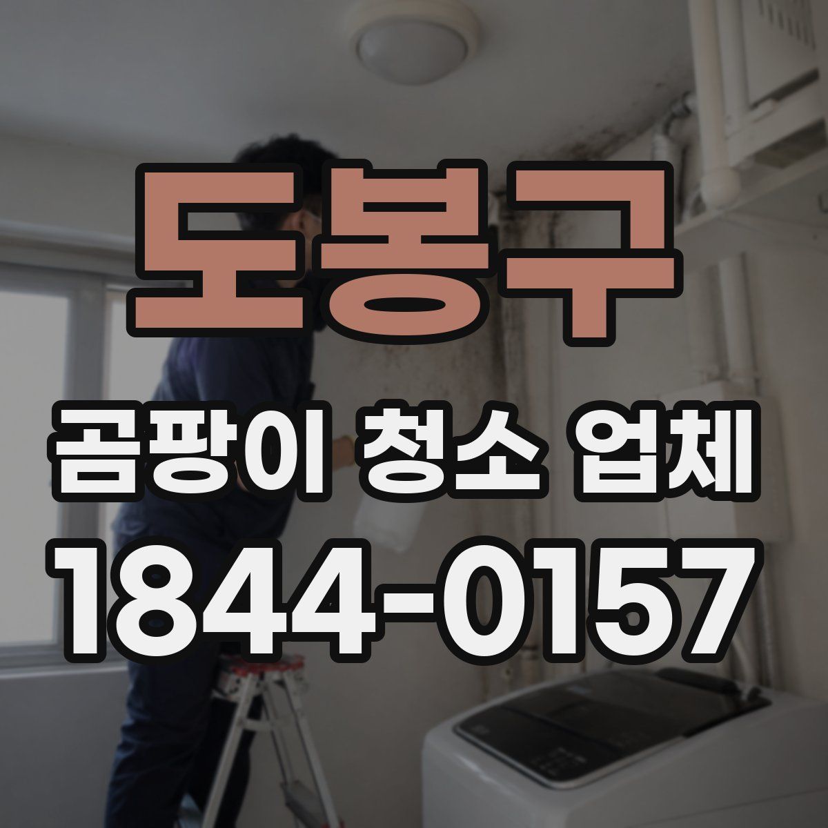 도봉구 곰팡이 청소 업체