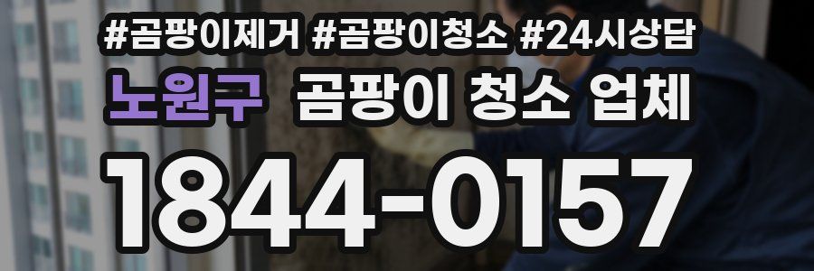 노원구 곰팡이 청소 업체
