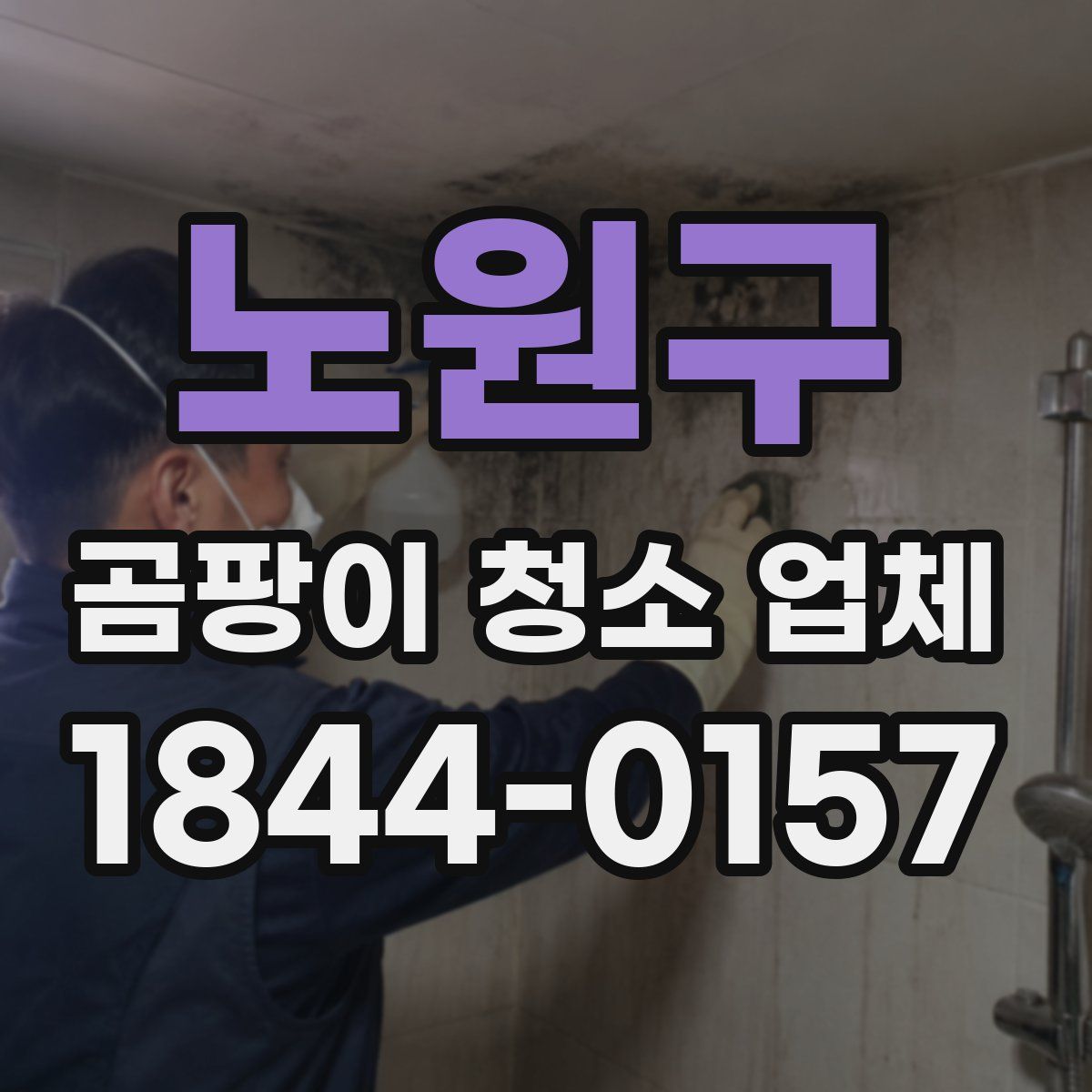 노원구 곰팡이 청소 업체