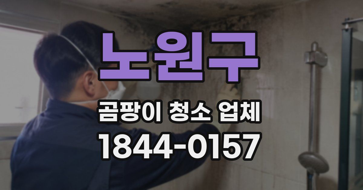 노원구 곰팡이 청소 업체