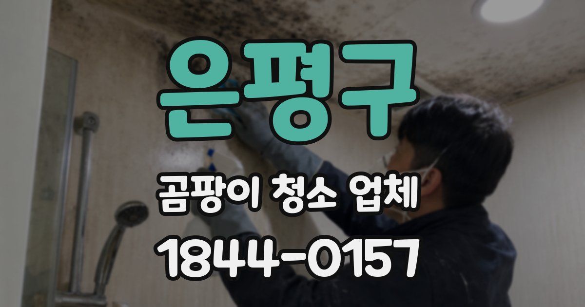 은평구 곰팡이 청소 업체